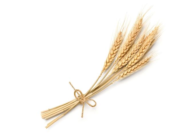 Natural Wheat Stalks